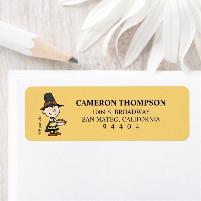 Erdnüsse | Charlie Brown Pilgrim (Insitu)