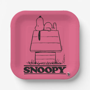 Erdnüsse   Das Geheimnis des Lebens verbergen Pappteller