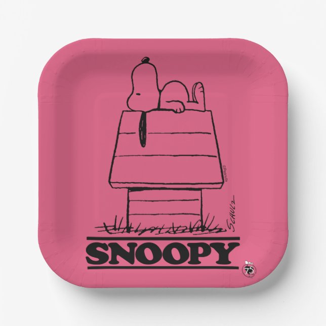 Erdnüsse | Das Geheimnis des Lebens verbergen Pappteller (Vorderseite)