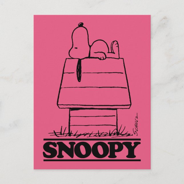 Erdnüsse | Das Geheimnis des Lebens verbergen Postkarte (Vorderseite)