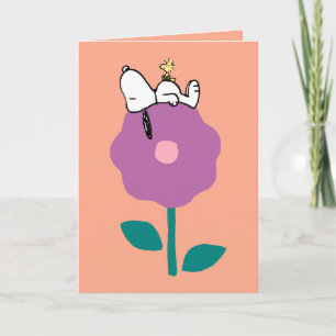 Erdnüsse   Es ist gut, Freunde zu haben   Foto hin Karte