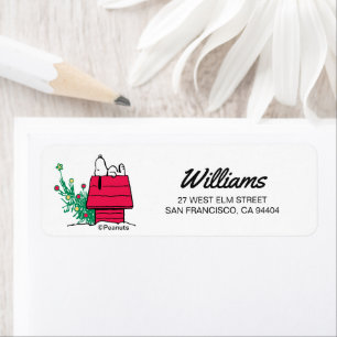 Erdnüsse   Feierlich sein