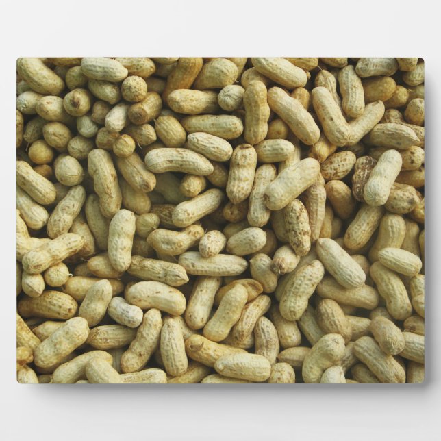 Erdnüsse Fotoplatte (Vorderseite)