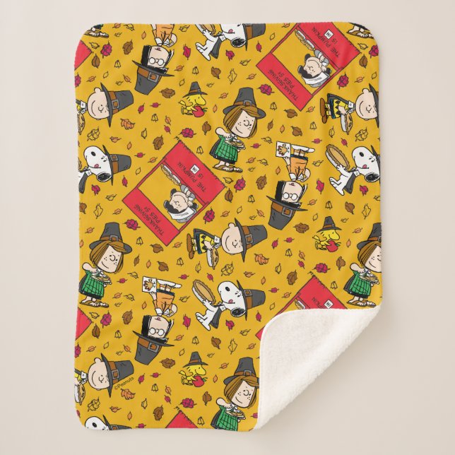 Erdnüsse | Glückliches Erntedankmuster Sherpadecke (Vorderseite)