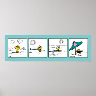 Erdnüsse   Holz am Strand Poster