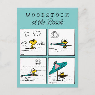 Erdnüsse   Holz am Strand Postkarte