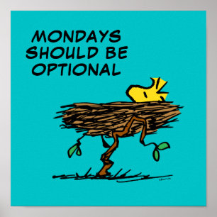 Erdnüsse   Holzabsperrung Poster