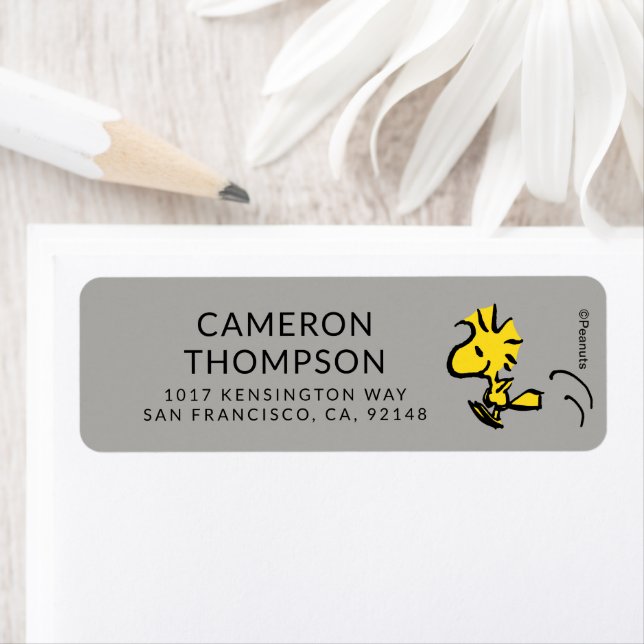 Erdnüsse | Jumping (Insitu)