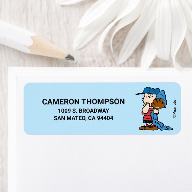 Erdnüsse | Linus in seinem Baseballgestänge (Insitu)