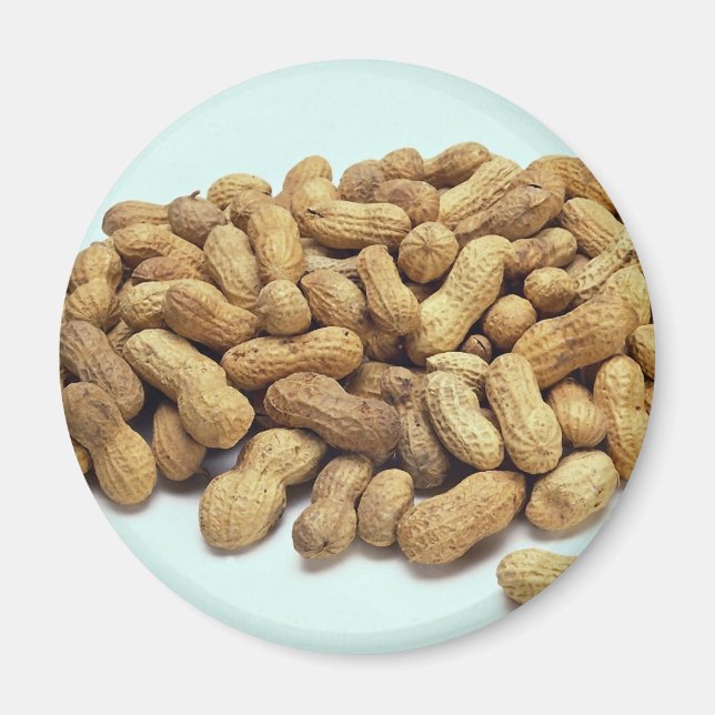 Erdnüsse Magnet (Vorne)