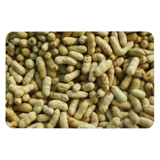 Erdnüsse Magnet (Horizontal)