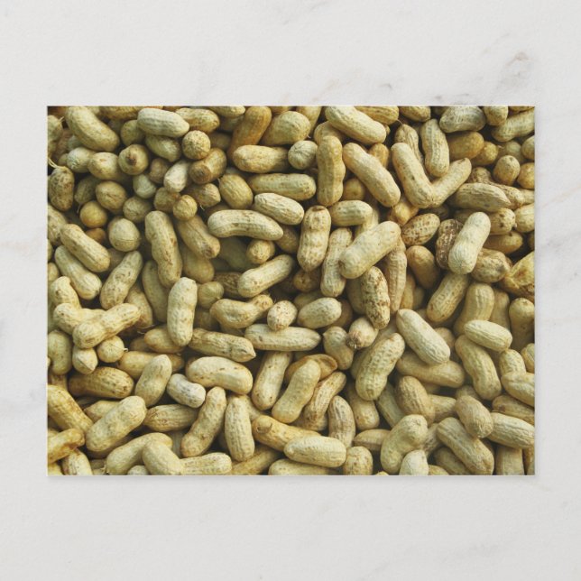 Erdnüsse Postkarte (Vorderseite)