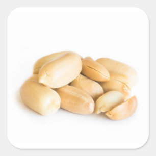 Erdnüsse Quadratischer Aufkleber