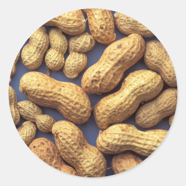 Erdnüsse Runder Aufkleber (Vorderseite)