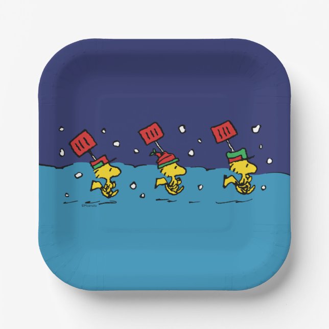 Erdnüsse | Schneeschuh-Team für Wälder Pappteller (Vorderseite)