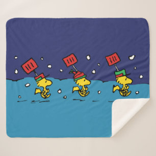 Erdnüsse Schneeschuh-Team für Wälder Sherpadecke