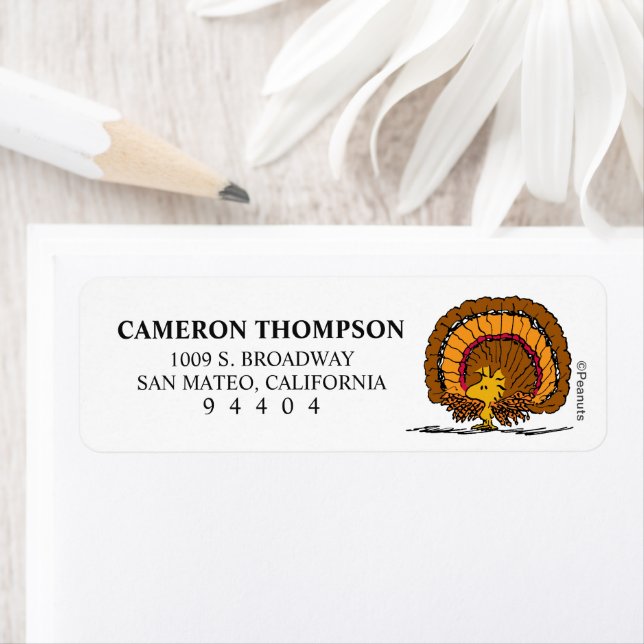 Erdnüsse | Seid dankbar Woodstock Türkei (Insitu)