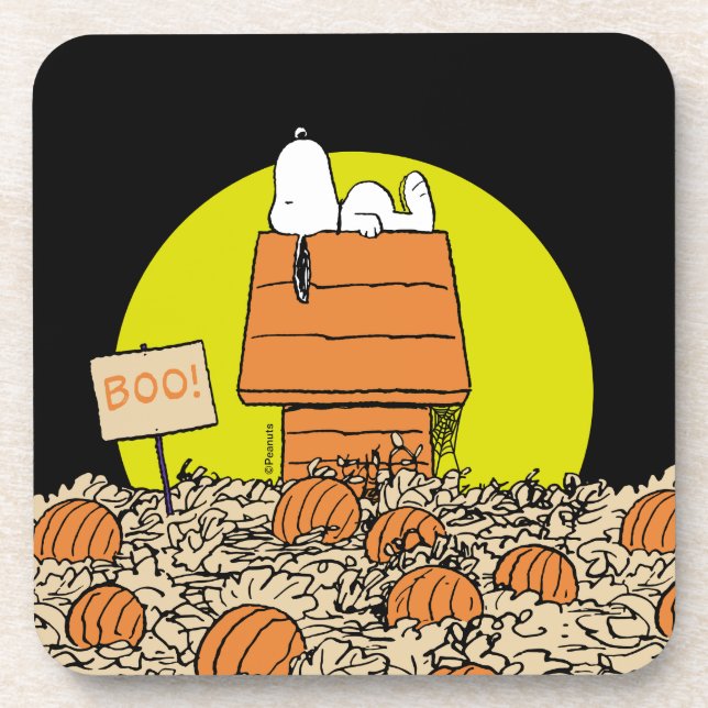 Erdnüsse | Snoopy Napping im Pumpkinpflaster Getränkeuntersetzer (Vorderseite)