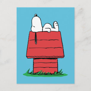 Erdnüsse   Snoopy Napping Postkarte