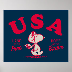 Erdnüsse   Snoopy USA Land of the Free Poster