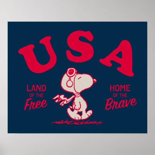 Erdnüsse | Snoopy USA Land of the Free Poster (Vorne)