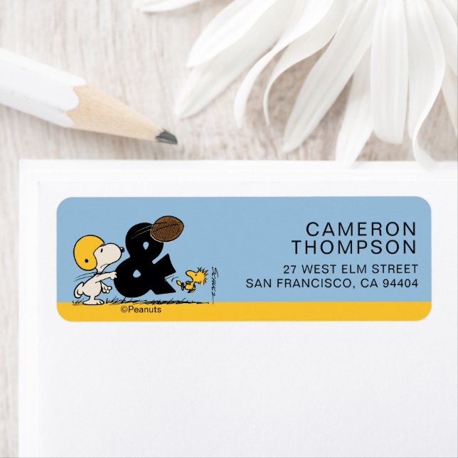 Erdnüsse | Snoopy & Woodstock Football (Insitu)