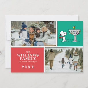 Erdnüsse Snoopy & Woodstock Gefrorenes Birdbad Feiertagskarte