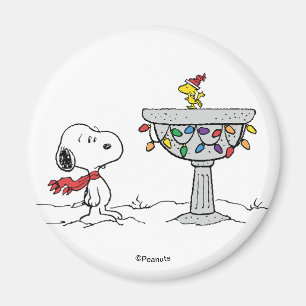 Erdnüsse   Snoopy & Woodstock Gefrorenes Birdbad Magnet