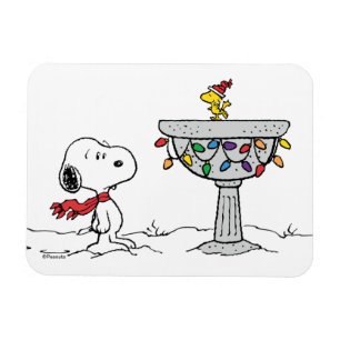 Erdnüsse   Snoopy & Woodstock Gefrorenes Birdbad Magnet