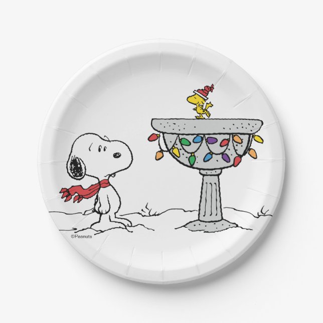 Erdnüsse | Snoopy & Woodstock Gefrorenes Birdbad Pappteller (Vorderseite)
