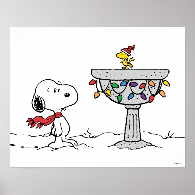 Erdnüsse | Snoopy & Woodstock Gefrorenes Birdbad Poster (Vorne)