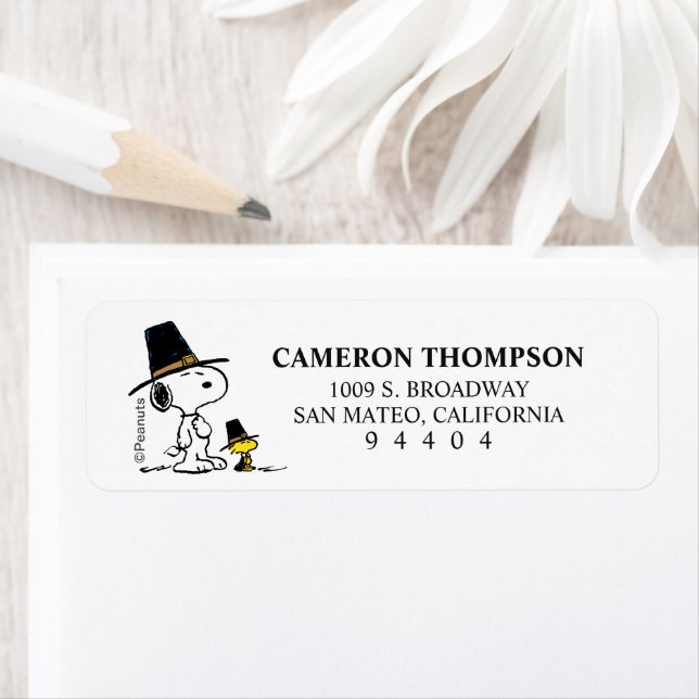 Erdnüsse | Snoopy & Woodstock Pilgrim (Insitu)