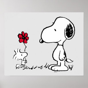 Erdnüsse   Snoopy & Woodstock Red & Black Poster