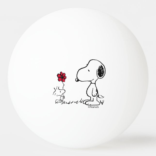 Erdnüsse | Snoopy & Woodstock Red & Black Tischtennisball (Vorderseite)