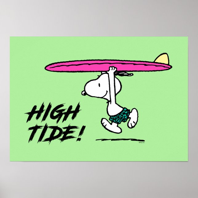 Erdnüsse | Snoopy zum Surfen Poster (Vorne)