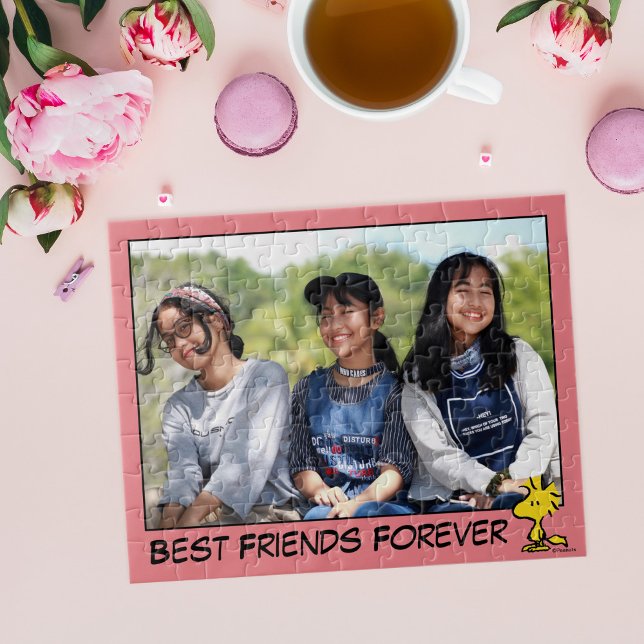 Erdnüsse | Snoopy's Friend Woodstock Custom Foto Puzzle (Von Creator hochgeladen)