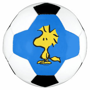 Erdnüsse   Snoopy's Friend Woodstock Fußball