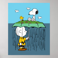 Erdnüsse | Sonnentag Rainy Day Half & Halb
