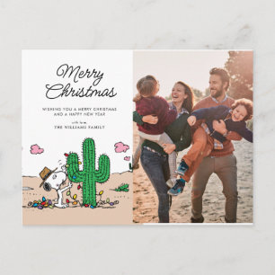 Erdnüsse   Spike Decorations für Weihnachten