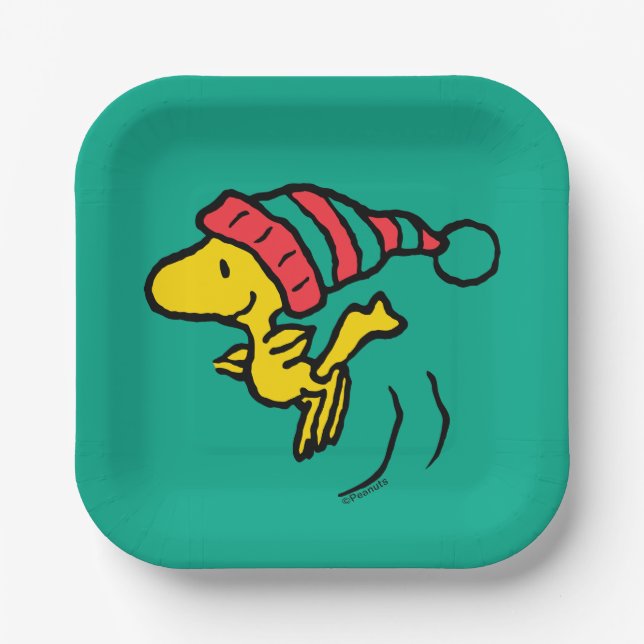 Erdnüsse | Woodstock Winter Beanie Cap Pappteller (Vorderseite)