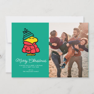 Erdnüsse Woodstock Winter Frohe Weihnachten