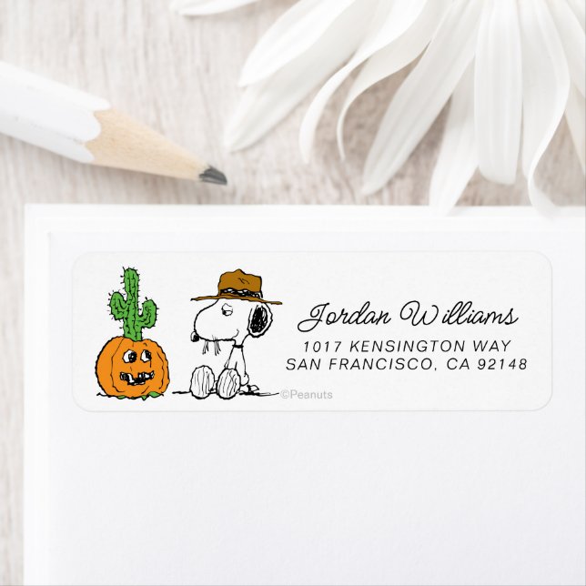 Erdnüsse | WüstenHalloween (Insitu)