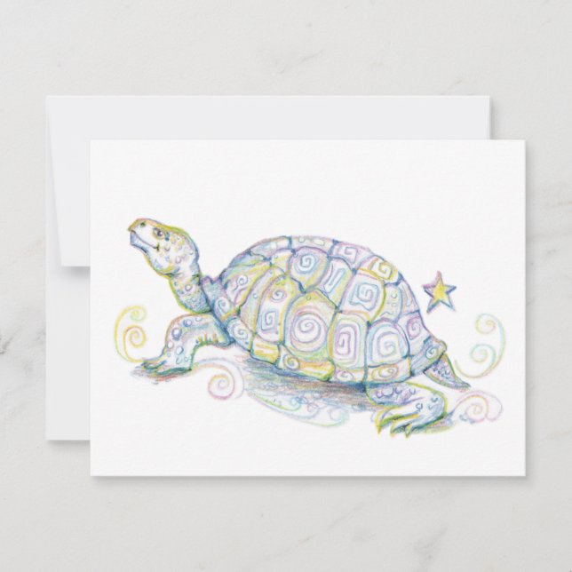 Erdschildkröte (Vorderseite)