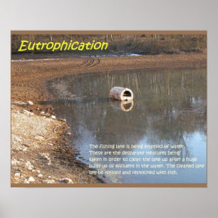 Erdwissenschaft, Umwelt, Eutrophierung Poster
