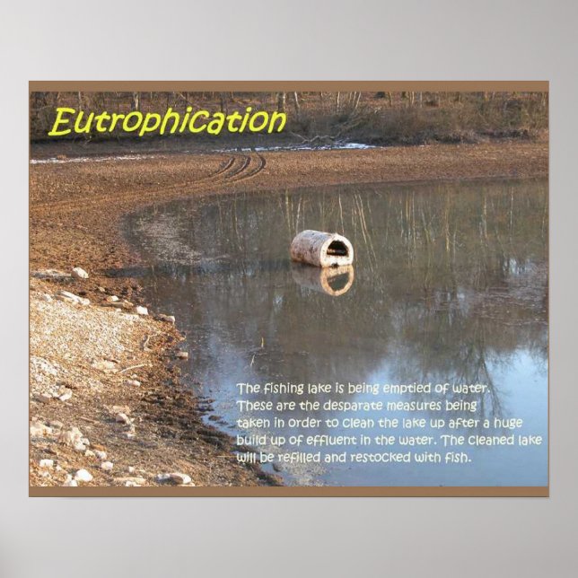 Erdwissenschaft, Umwelt, Eutrophierung Poster (Vorne)