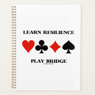 Erfahren Sie mehr über die Resilienz-Play-Bridge m Planer