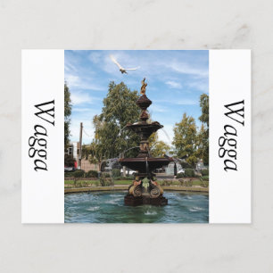 Erfassung von Vögeln, die aus dem Brunnen fliegen Postkarte