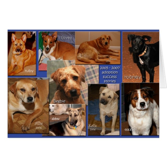 Erfolgsgeschichten fördern2007 (Vorderseite (Horizontal))