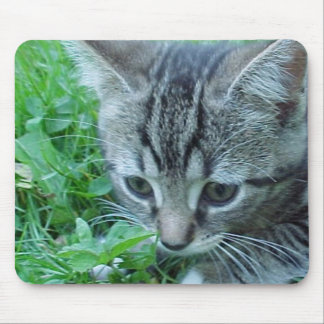 Erforschen Sie zuerst Mousepad