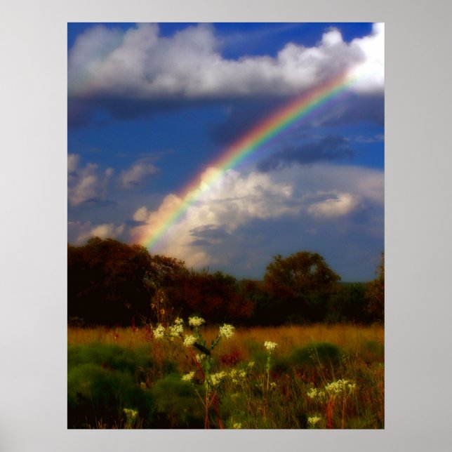 Erfrischendes Promise-Poster Poster (Vorne)